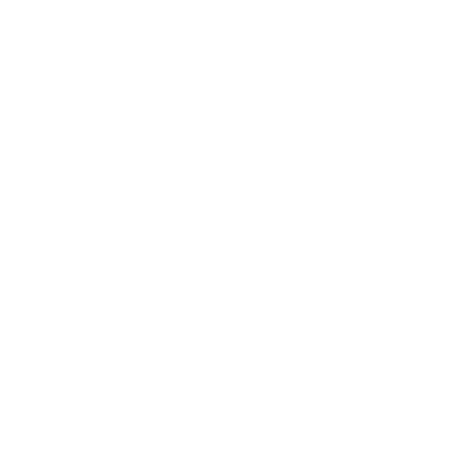 The Raven's Archive